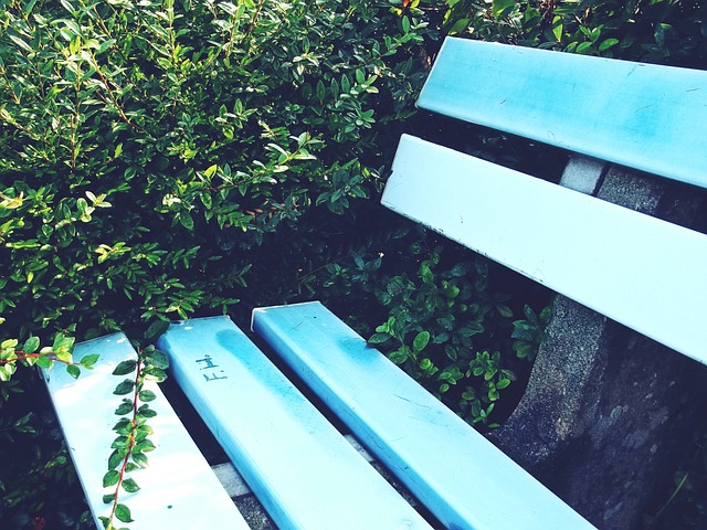 公众对名人 公众对名人