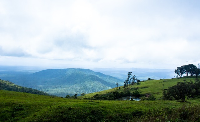从数据上看 从数据上看