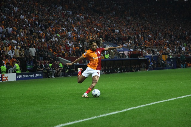 特别是在第 特别是在第