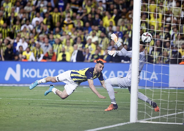 对于任何涉 对于任何涉