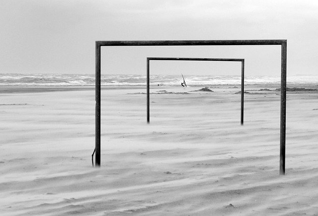 是对团队协 是对团队协