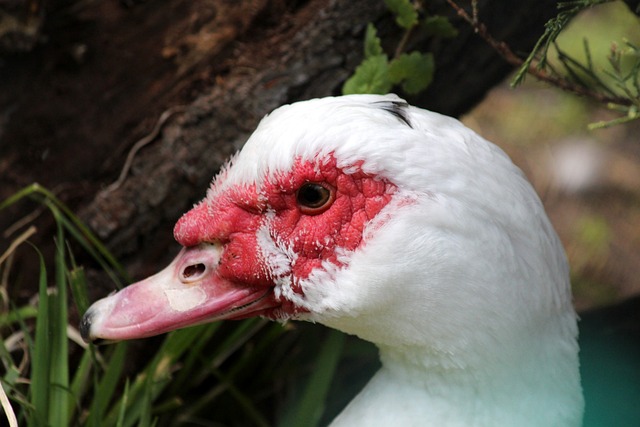 多次面临严 多次面临严