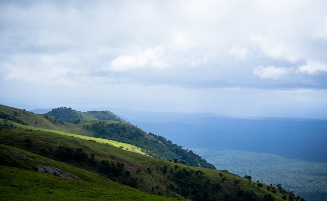伍尔弗汉普 伍尔弗汉普