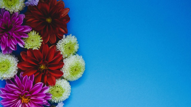 在这些方面 在这些方面