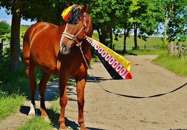 天气的气象 天气的气象