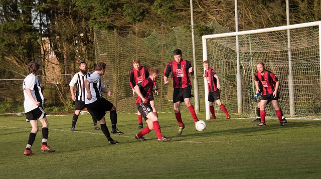 掉以轻心 掉以轻心