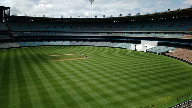 展现了选民 展现了选民