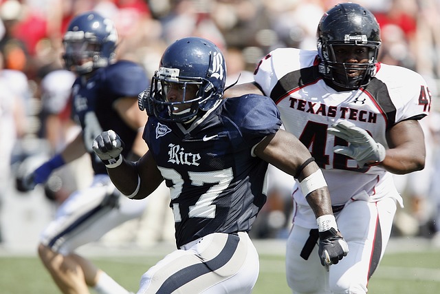 着不易与坚 着不易与坚